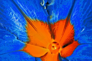 F 033C
